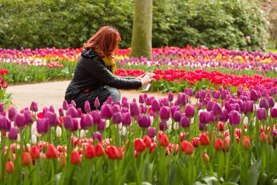 Magical Delft and the Keukenhof Estate: Tulips Galore - The 45-minute Delft break: how to use it smart