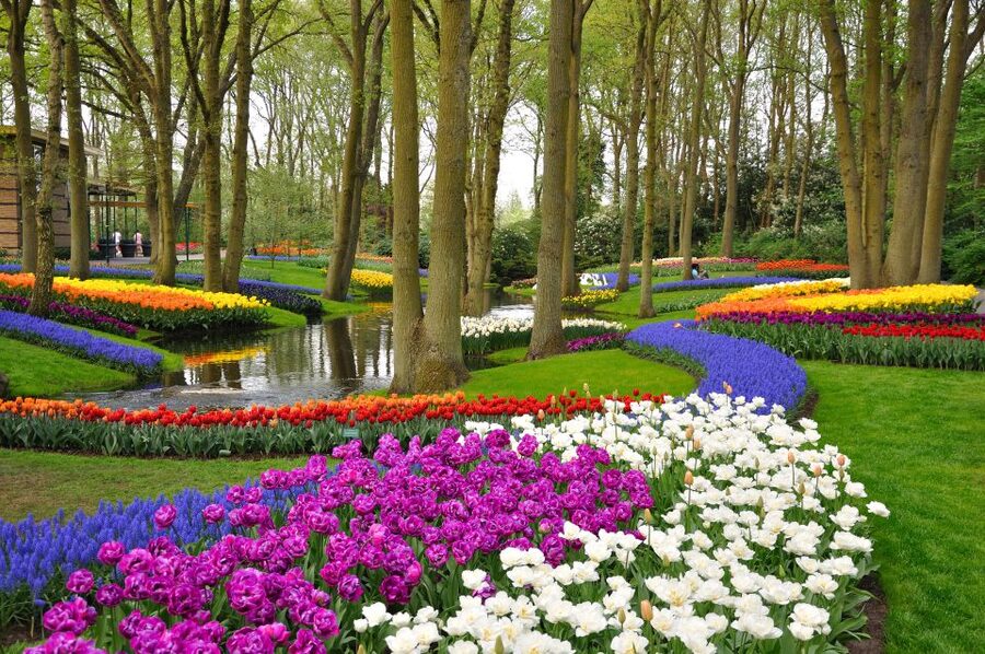 Magical Delft and the Keukenhof Estate: Tulips Galore - Price and value at about $101 per person