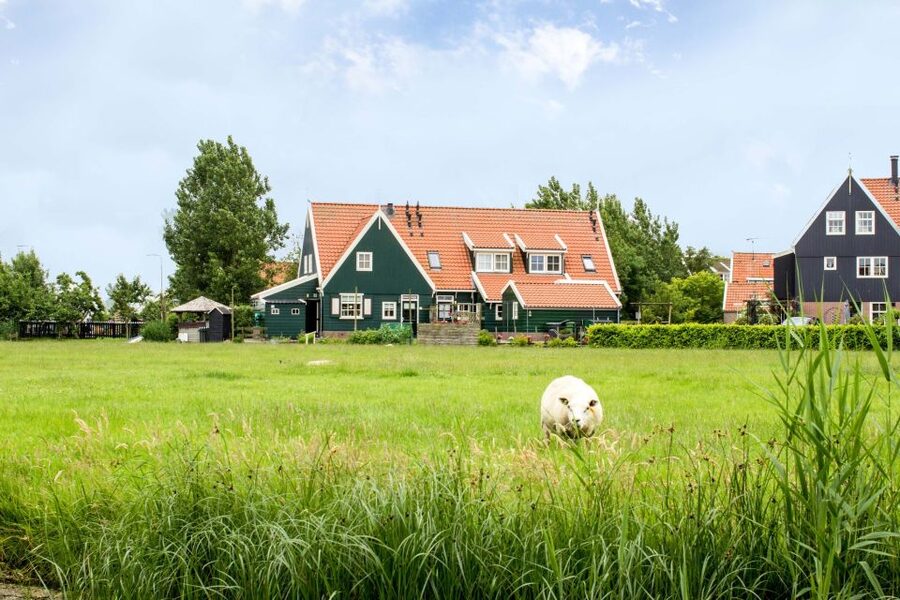 Marken, Volendam and Edam: Private Full-Day Tour - Who This Tour Suits Best (and Who Might Want a Different Plan)