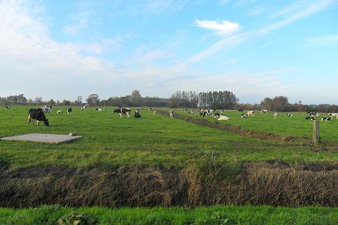 Off the Beaten Paths Dutch Landscape Private Tour 1/2 day Jaguar - Volendam: fishing village energy, without the long detour