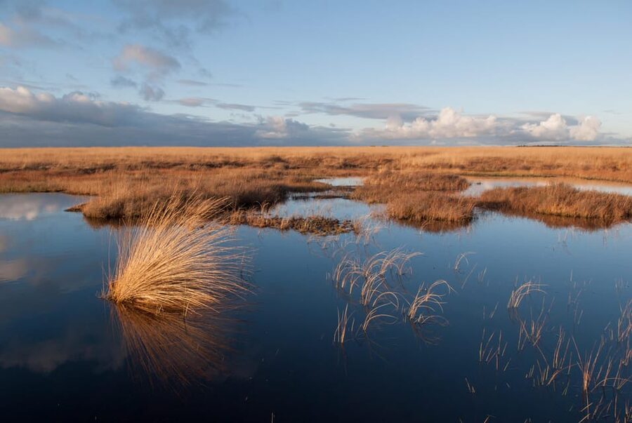 Otterlo: De Hoge Veluwe National Park Entry Ticket - De Hoge Veluwe on 5,400 hectares: why this park feels different
