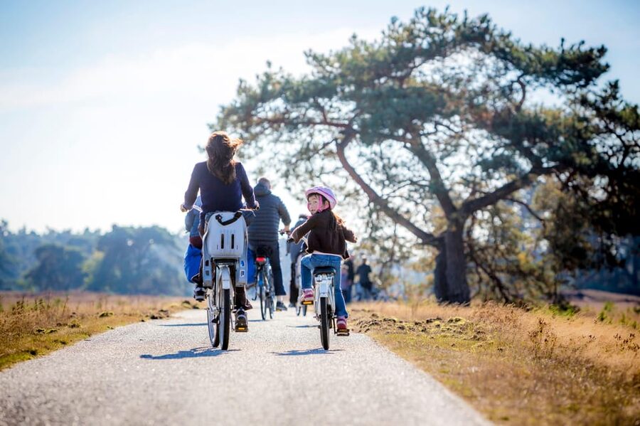Otterlo: De Hoge Veluwe National Park Entry Ticket - Paved cycle routes, foot paths, and changing scenery all day