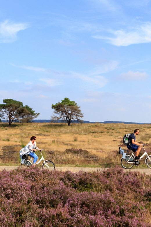 Otterlo: De Hoge Veluwe National Park Entry Ticket - Price and value: is $16 per person worth it?