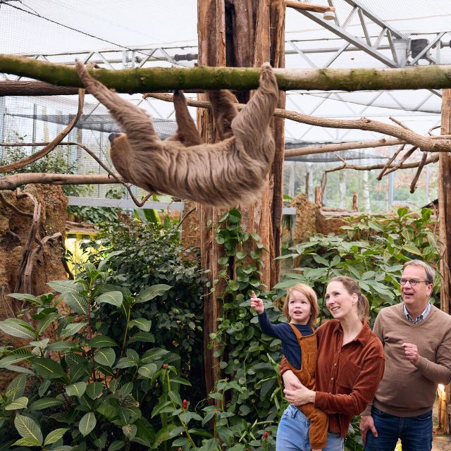 Overloon: ZooParc Entrance Ticket - Practical timing and route ideas for a stress-free 7-zone day