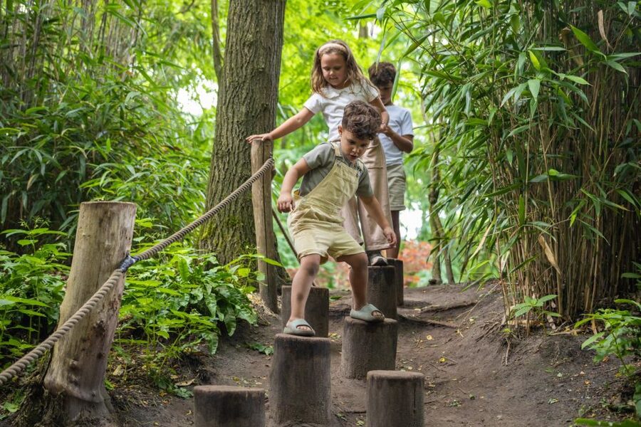Overloon: ZooParc Entrance Ticket - The Outback and Amazon: kangaroos, birds, and the art of looking up