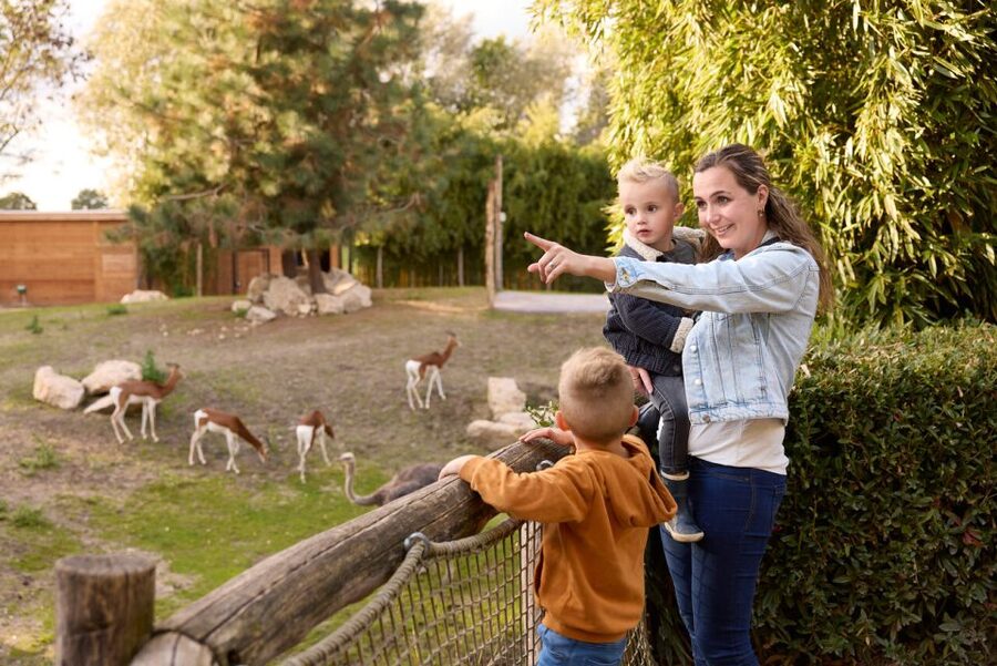 Overloon: ZooParc Entrance Ticket - Jangalee and Ngorongoro: tigers, lions, giraffes, and open sightlines