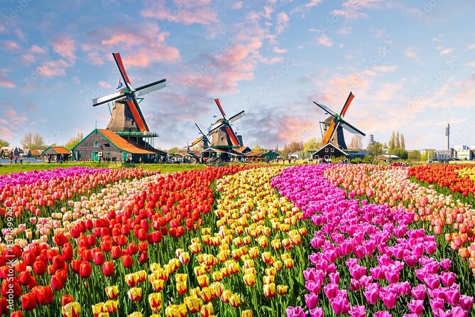Private Countryside Tour From Amsterdam - Key things to know before you go