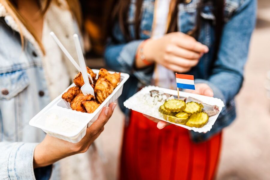 Private & Custom Amsterdam Tour, Hidden Gems with a Local - Amsterdam North: parks, contemporary art, and the Eye Film Museum zone