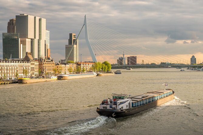 Private Day Tour: Rotterdam and The Hague. English or Spanish - Price and value: what $834.17 per group really buys you
