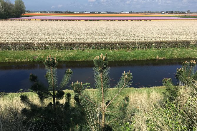 Private daytour from Amsterdam into the Countryside - Price and value for a 7 to 8 hour private day