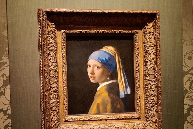 Private Guided City Tour of The Hague & Mauritshuis Museum Entry - Key highlights you will feel fast