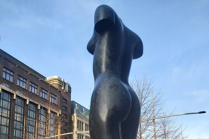 Private Guided City Tour of The Hague & Mauritshuis Museum Entry - Royal settings around Noordeinde and Paleistuin, without interior pressure