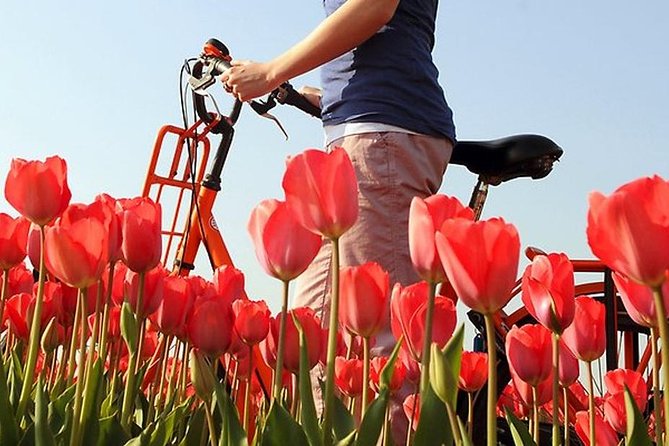 Private Guided Full-Day Customizable Tour of Holland from Amsterdam - Family heritage days: when the Netherlands becomes personal