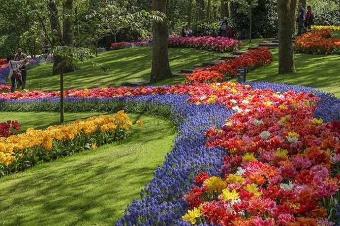 Private Guided Tour of Keukenhof Tulip Gardens & Private Windmill - Tulip fields: photo stops with actual context