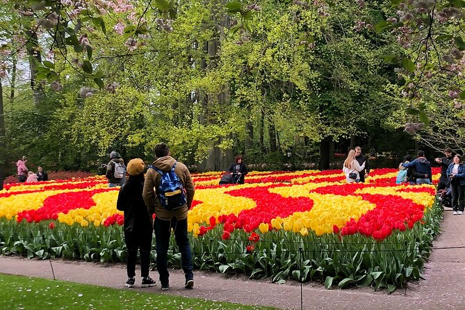 Private Guided Tour of Keukenhof Tulip Gardens & Private Windmill - What is included, and why it matters for value