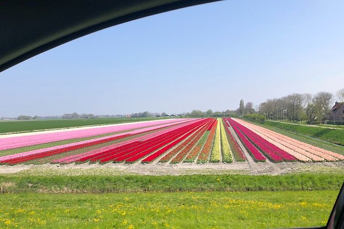 Private Guided Tour of Keukenhof Tulip Gardens & Private Windmill - Who this tour suits best (and who might feel it is too much)