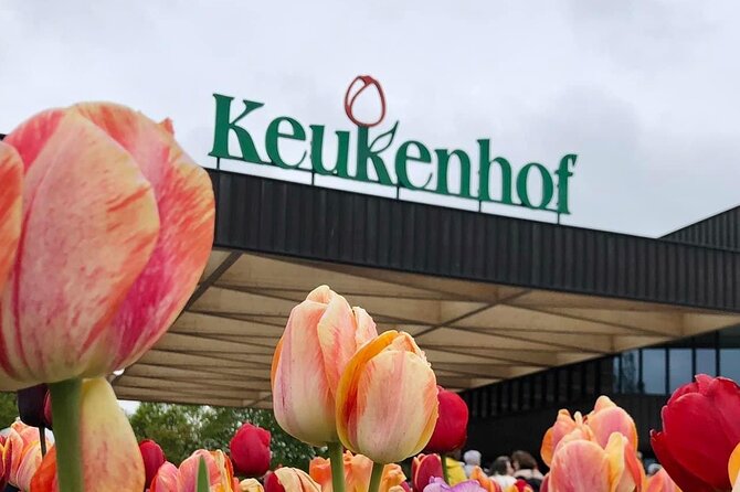 Private Guided Tour of Keukenhof Tulip Gardens & Private Windmill - Booking timing: when to lock it in