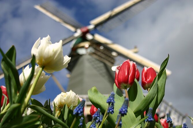 Private Guided Tour of Keukenhof Tulip Gardens & Private Windmill - Rotterdam pickup and the drive to the bulb region