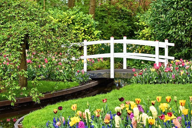 Private Half-Day Trip From Amsterdam to The Tulip Fields in Keukenhof - Price and value: what $227 buys you