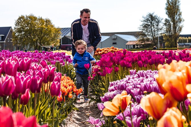 Private Keukenhof Gardens and Tulip Fields Tour from Amsterdam - Price and value: what you are paying for at $378.92 per person