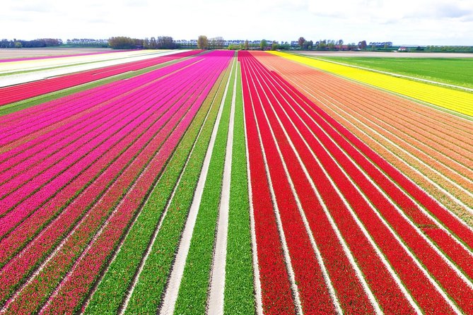 Private Keukenhof Park and Tulip Fields Tour (Skip-The-Line) - Why Keukenhof + Tulip Fields Works So Well as a Half-Day