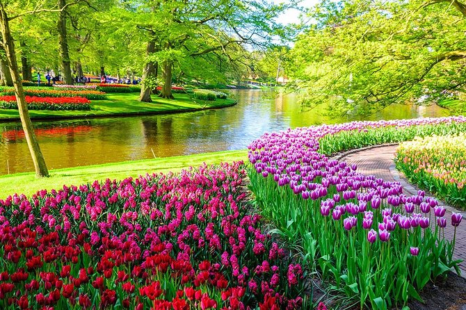 Private Keukenhof Park and Tulip Fields Tour (Skip-The-Line) - Mercedes Pickup, Wi-Fi, and the Door-to-Door Comfort Factor