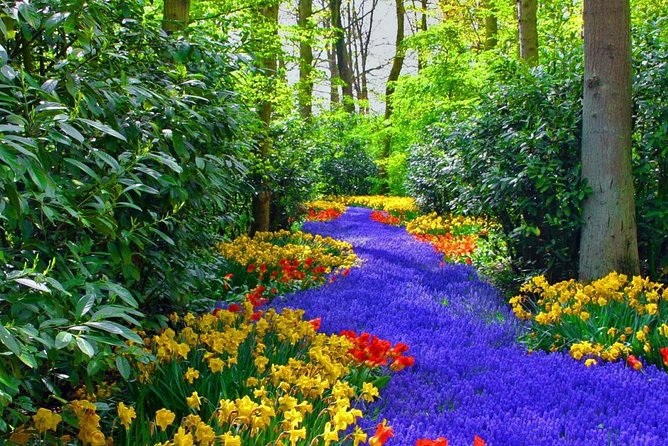 Private Keukenhof Park and Tulip Fields Tour (Skip-The-Line) - Price and Value: Is $360.44 Worth It?