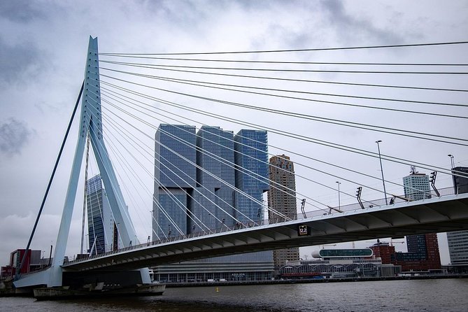 Private Rotterdam Cruise Port Departure Transfer to Amsterdam - Timing on Cruise Days: Delays, Busy Exits, and Traffic Checks