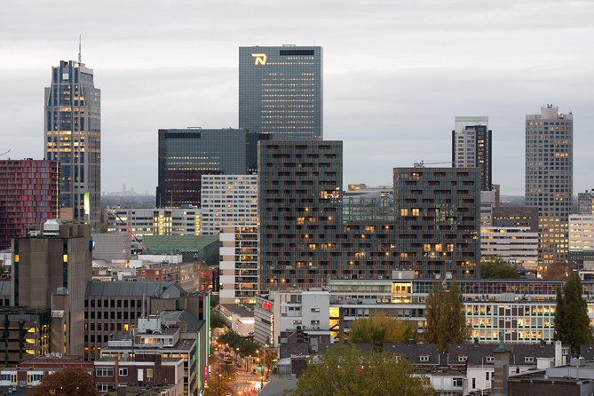 Private Tour: Rotterdam Walking Tour Including Harbor Cruise - Museumpark Stops: Art, Design, and Built-Environment Views