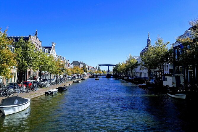 Private Tour to Kinderdijk and Delft / Leiden / Hague / Gouda - Should you book this private Kinderdijk and South Holland tour?
