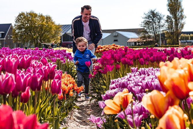 Private Tulip Fields, Windmills and Cheese Tour from Amsterdam - Jacobs Hoeve Cheese Farm by Henri Willig: tasting that feels like a real stop