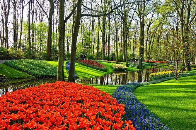 Private Tulip Fields, Windmills and Cheese Tour from Amsterdam - Tulip Experience Amsterdam: education first, then color