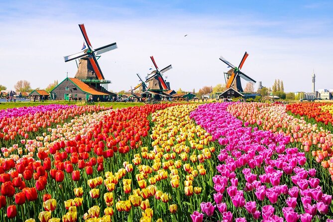 Private Zaanse Schans & Volendam Tour: Windmills, Cheese & Clogs - FAQ