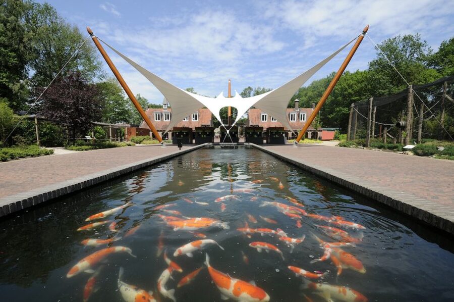 Rhenen: Ouwehands Zoo Entry Ticket - Ouwehands Zoo in Rhenen: a one-day animal world tour