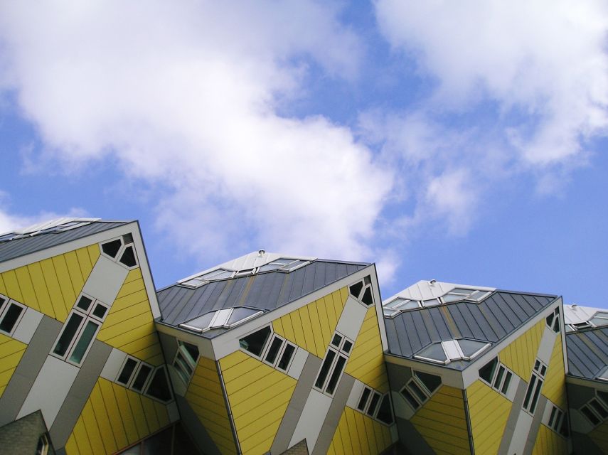 Rotterdam: 2.5-Hour Highlights Bike Tour - Markthal: Seeing the Market Hall as a City Statement