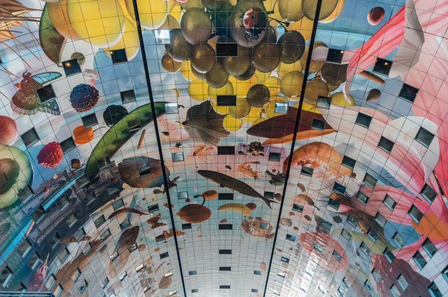 Rotterdam: Architectural Highlights Guided Walking Tour - Key points to know before you go