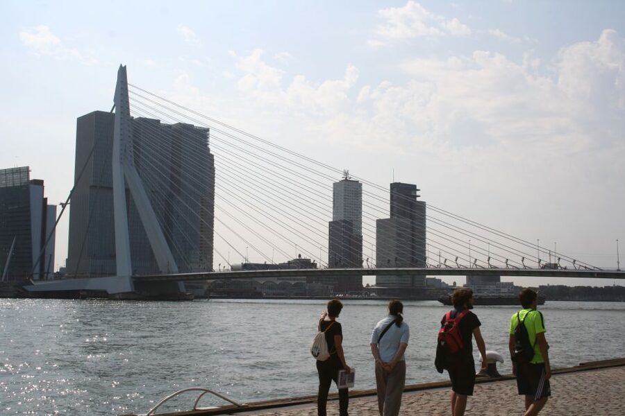 Rotterdam: Architectural Highlights Guided Walking Tour - Erasmus Bridge and the South Bank: planning for tomorrow
