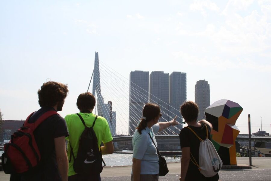 Rotterdam: Architectural Highlights Guided Walking Tour - Price and value for a 2-hour architect-led walk