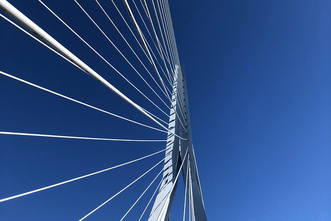 Rotterdam Architecture Highlights Walking Tour - What the architect guide actually changes for you