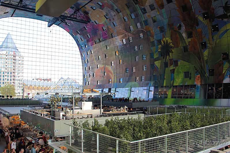 Rotterdam: City Center Walking Tour - How the route helps you see Rotterdam’s center clearly