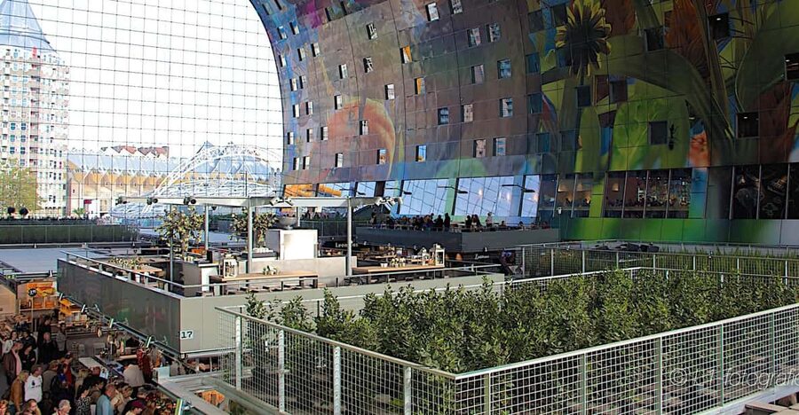 Rotterdam: City Center Walking Tour - Entering Rotterdam Central Station and getting your bearings