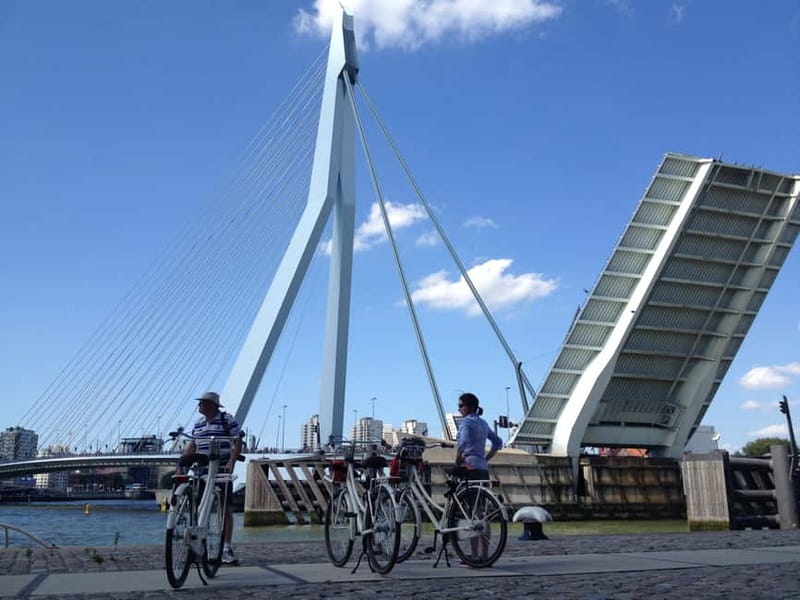 Rotterdam: City Highlights Guided Bike Tour - Erasmusbrug Skyline Views, Modern Architecture, and the Wind Factor