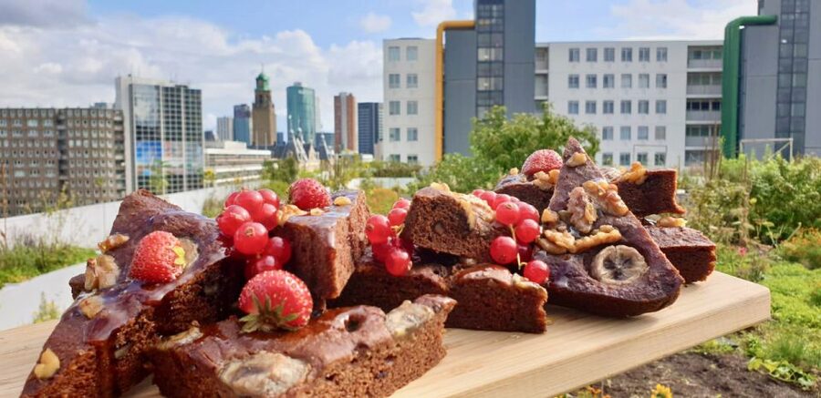 Rotterdam: Food Tour by Bike - Key Highlights Worth Getting Excited About