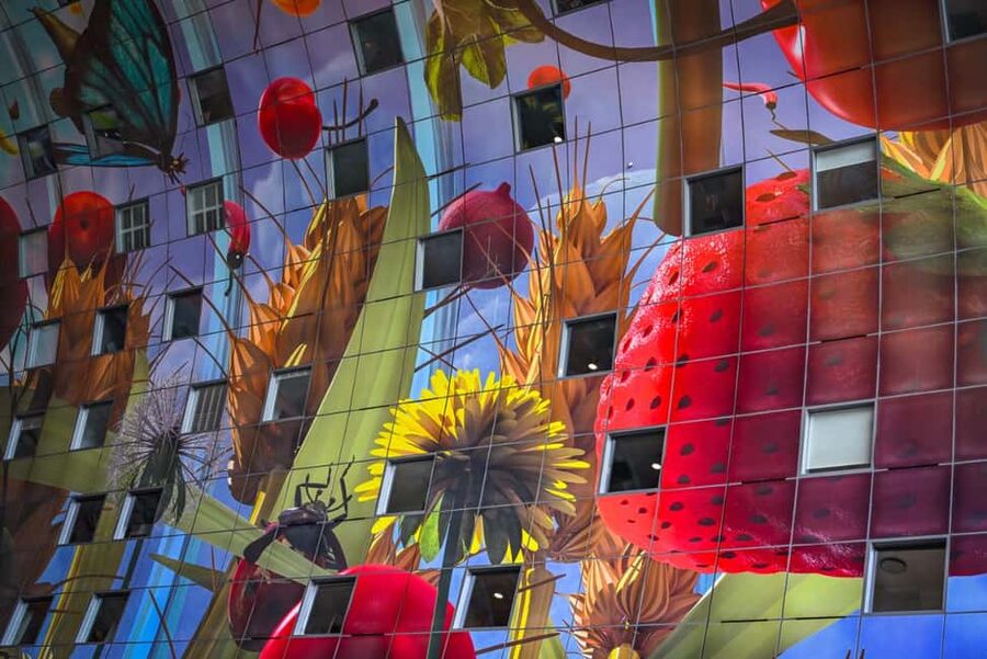 Rotterdam: Highlights, Gems, Architecture & History Walk - How Rotterdam’s WWII to rebuilding story is told in plain language