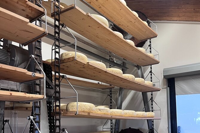 Rotterdam- Kinderdijk -Cheese Farm Experience min 4 max 100 PP - Timing, weather, and the one risk worth taking seriously