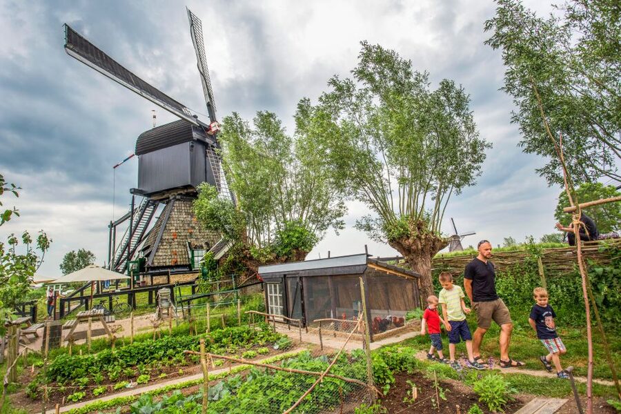 Rotterdam: Kinderdijk UNESCO World Heritage Entry Ticket - What Your $25 Ticket Covers (and Why It Feels Fair)