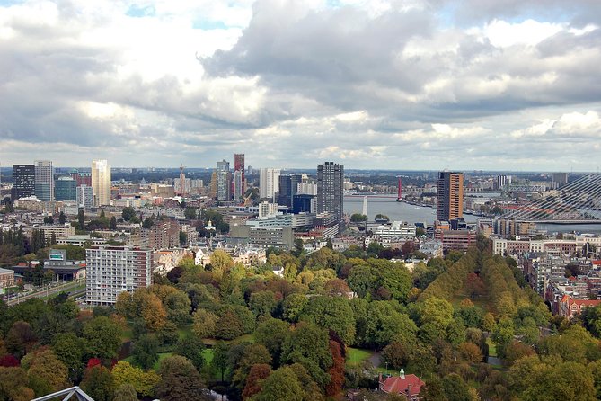 Rotterdam Private Walking Tour with a Local - Key things that make this tour work well