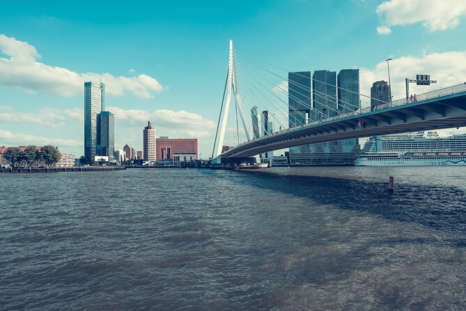 Rotterdam Private Walking Tour with a Local - Who should book this Rotterdam private walking tour