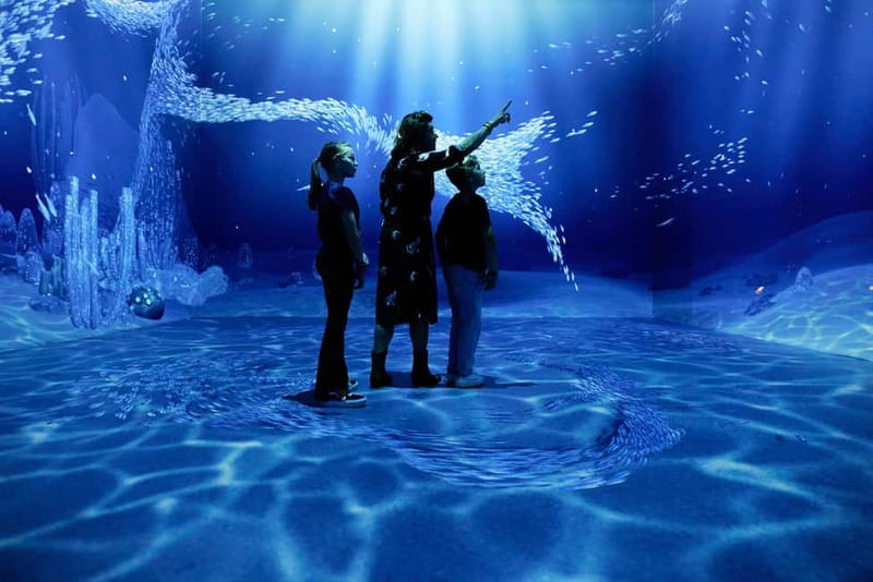 Rotterdam: "Remastered" Digital Art Audiovisual Experience - Key points before you go