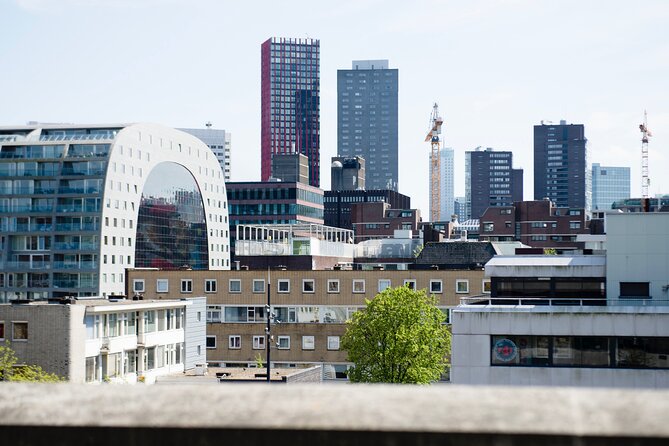 Rotterdam Rooftop tour - Rotterdam Rooftops, the quick story you get in 2.5 hours